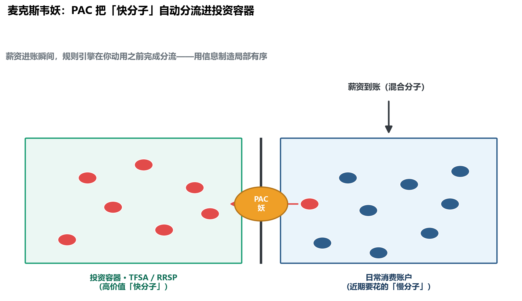 示意图：容器被中间隔板分成左右两室，隔板留一道门，门口是标注「PAC 妖·规则引擎」的圆。顶部薪资到账注入混合分子；左室「投资容器 TFSA/RRSP」聚集红色快分子，右室「日常消费账户」留下蓝色慢分子；一支箭头显示妖把一个快分子从右室拨向左室