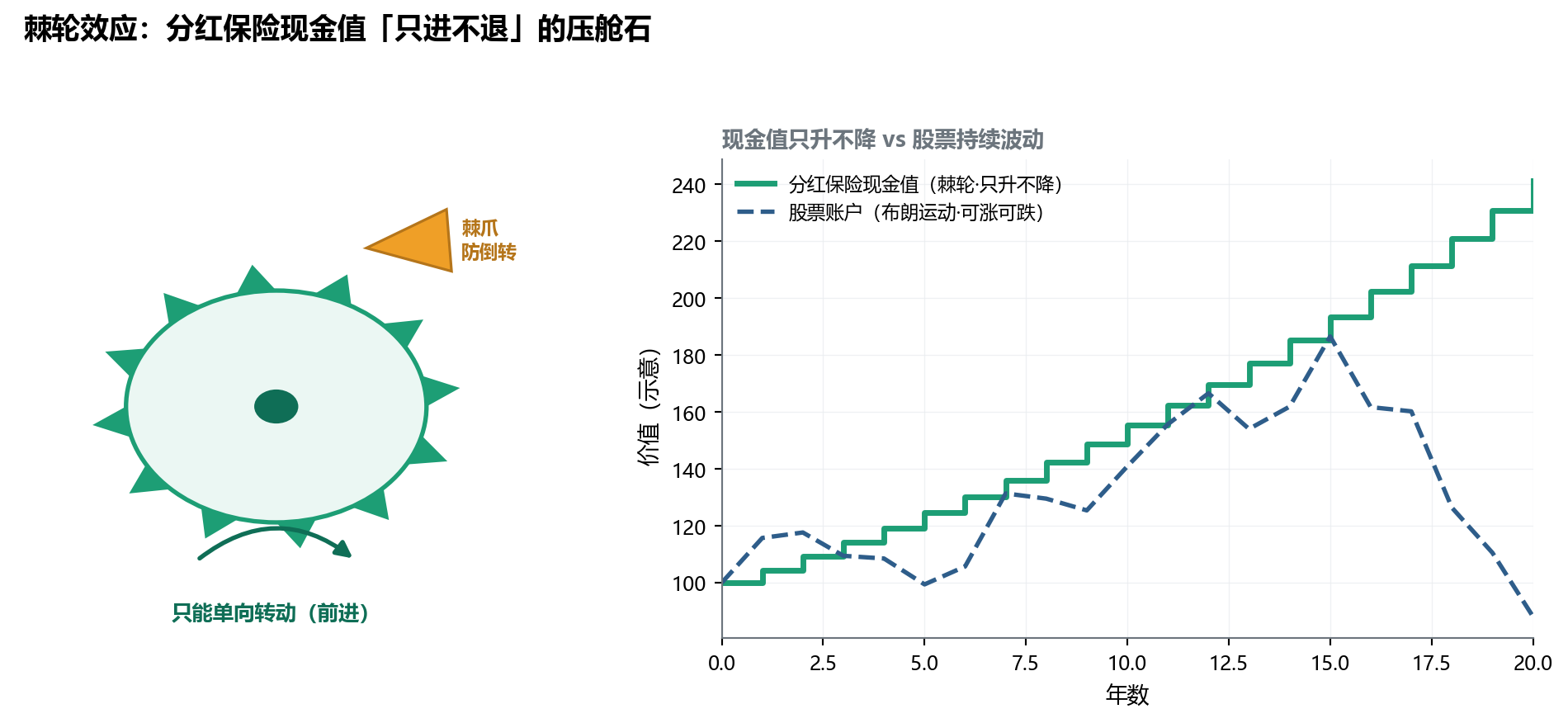 左为棘轮齿轮加棘爪示意图，弯箭头标只能单向转动（前进）；右为两条曲线，分红保险现金值呈只升不降的阶梯上行，股票账户呈上下波动的虚线